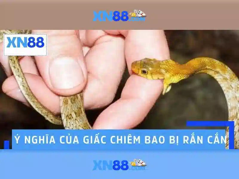 Hướng Dẫn Truy Cập Google Play XN88