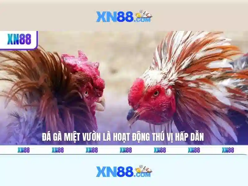 Ưu đãi Slot đa dạng