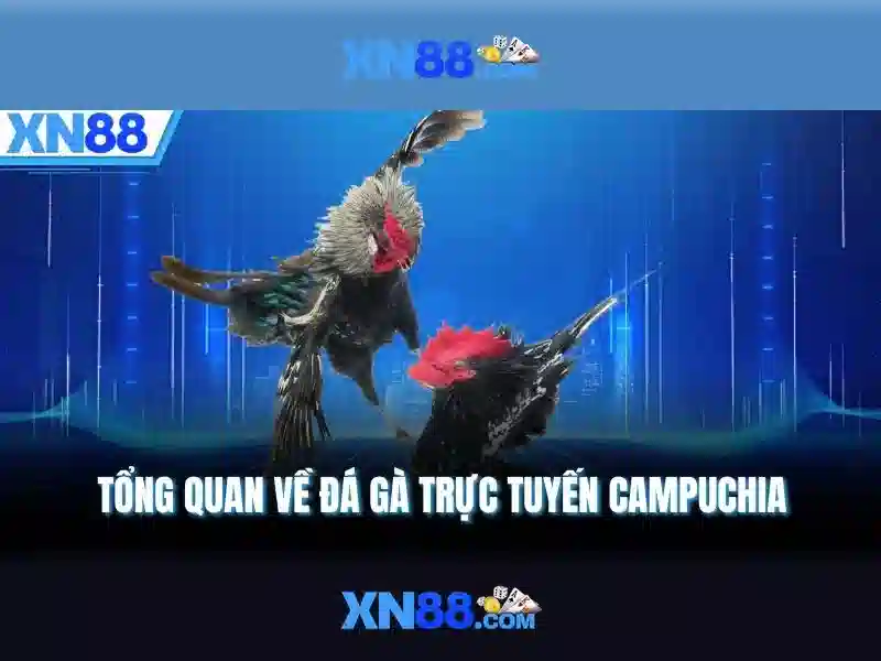 Hướng dẫn tải XN88 cho Slot và trò chơi trực tuyến