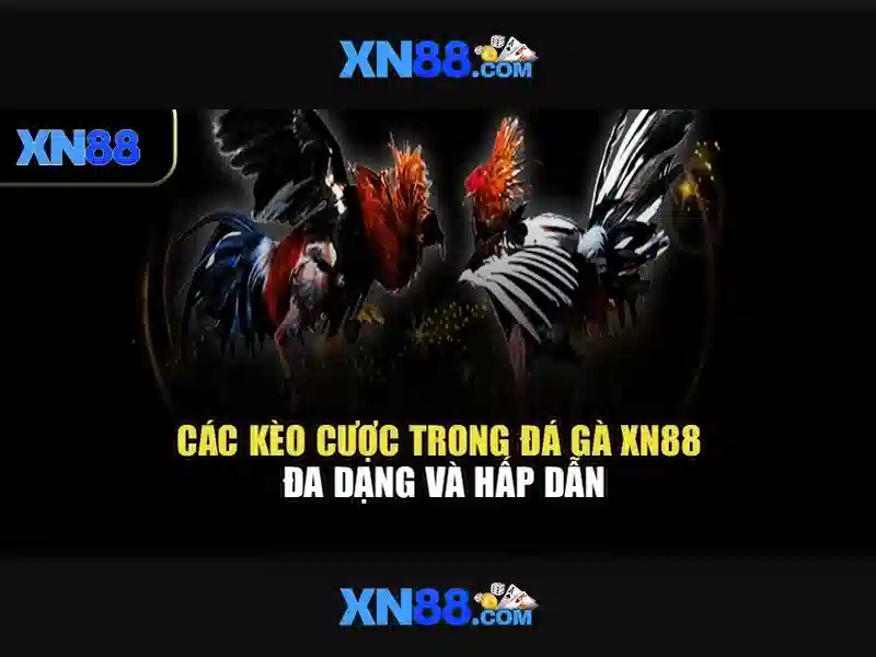 Các Biện Pháp An Toàn Khi Đăng Nhập XN88