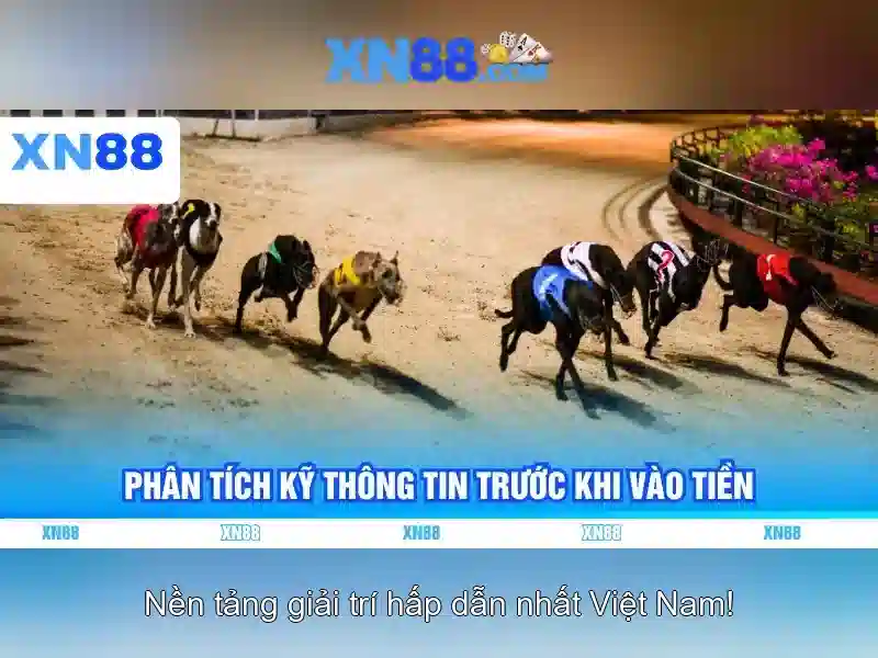 Cách Chơi Slot