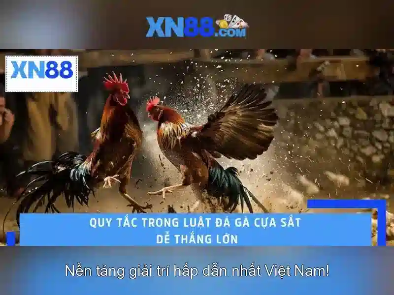 Trải Nghiệm Slot XN88
