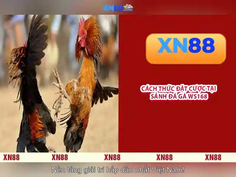 Đa Dạng Game Slot Tại XN88