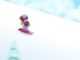 Barbie Snowboard