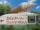Bedava Dondurma