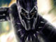Black Panter Vibranium Avı