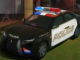Dedektif Polis