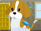 Dora Köpek Bakımı