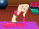 Elsa Yoga Yapıyor