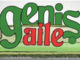 Geniş Aile