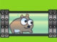 Hamster Yarışı