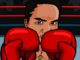 Kick Boks Gecesi