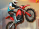 Mini Motocross