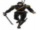 Ninja