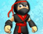 Ninja Macera