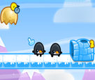 Penguenleri Koru