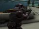 Warmerise Online 3d