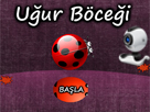 Webcam Ugur Böcegi