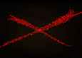 X Nerede