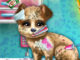 Yavru Köpek