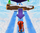 Yeti Sensation