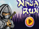 Ninja Koşusu
